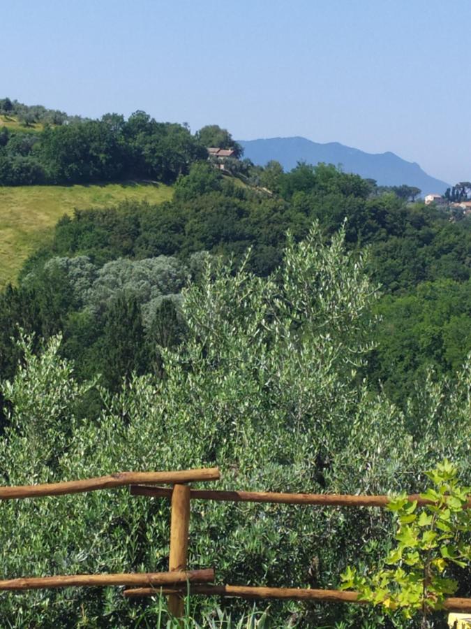 Casa Nupa Apartman Torri in Sabina Kültér fotó